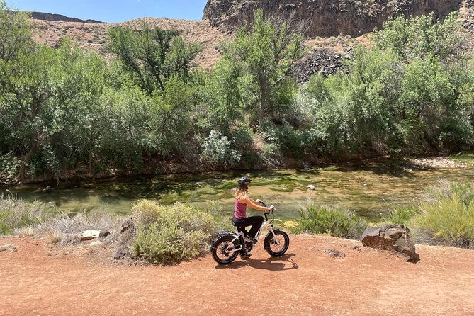 e-bike-rental-2