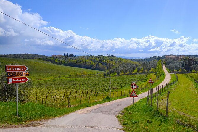 e-bike-tour-explore-the-chianti-its-enogastronomy-and-castles