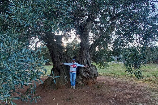 e-bike-tour-in-the-plain-of-the-secular-olive-trees-of-ostuni-3