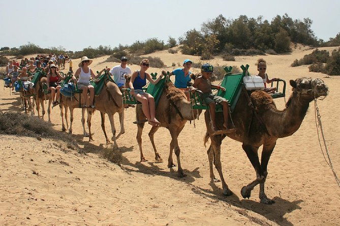e-scooter-tour-optional-camel-ride-maspalomas-dunes-meloneras-2