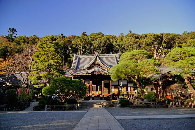 early-blooming-cherry-blossoms-fruit-picking-1day-tour