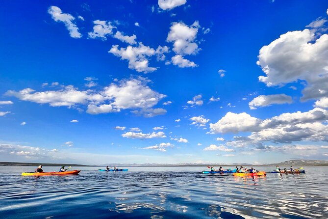 early-morning-guided-kayak-tour-2