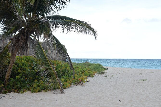 east-coast-private-tour-of-barbados