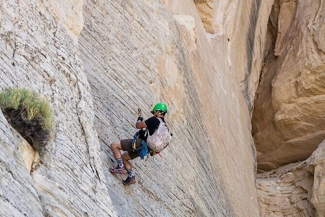 east-zion-elk-heart-cliffs-via-ferrata-and-rappelling-3hr-2