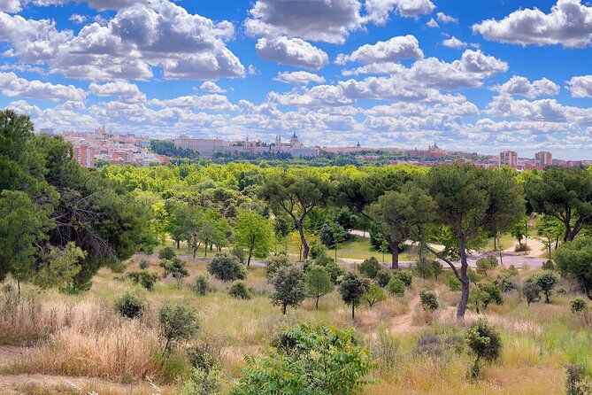 ebike-tour-madrid-green-areas-and-panoramic-views-3-hours