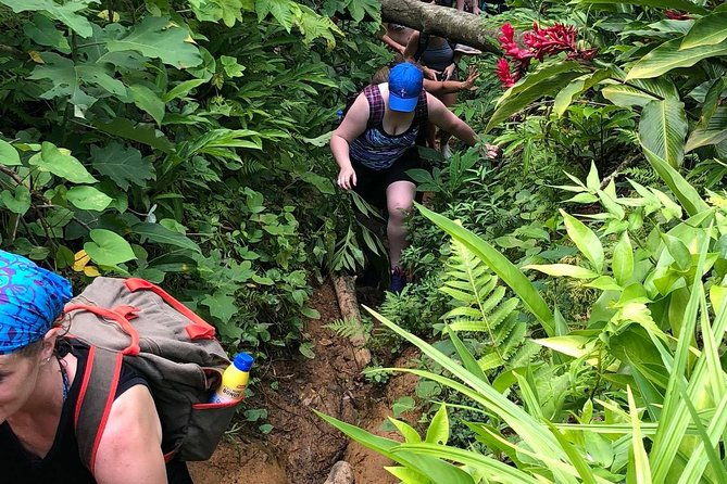 el-yunque-hiking-tour-with-transport