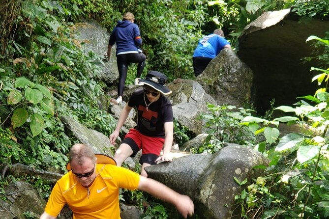 el-yunque-rainforest-guided-tour