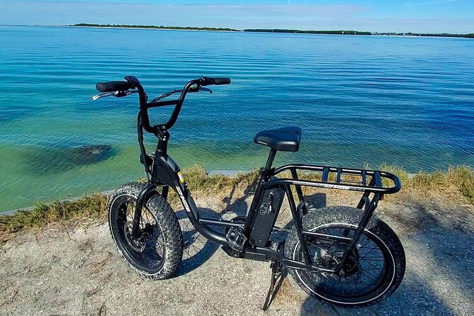 electric-bike-wildlife-history-tour-along-fort-de-sotos-beaches