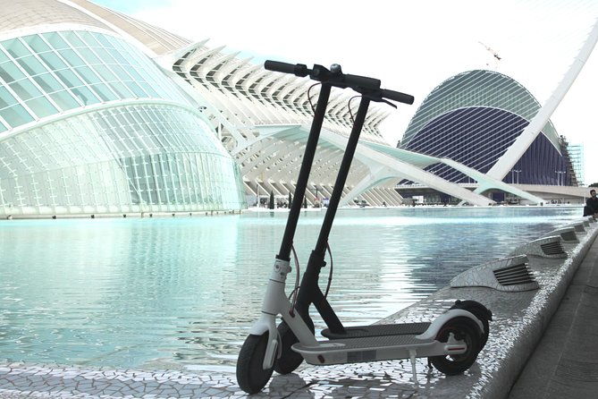 electric-scooter-rental-2