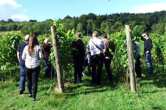 english-wine-and-cheese-tour-from-london