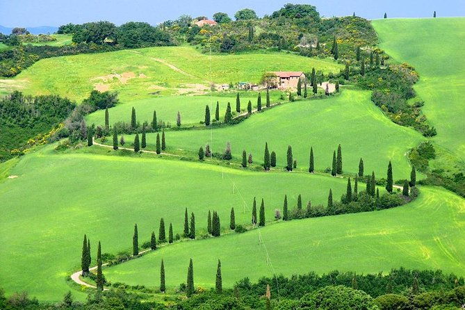 enjoy-a-wine-tasting-after-a-cycling-excursion-in-the-magic-of-tuscany