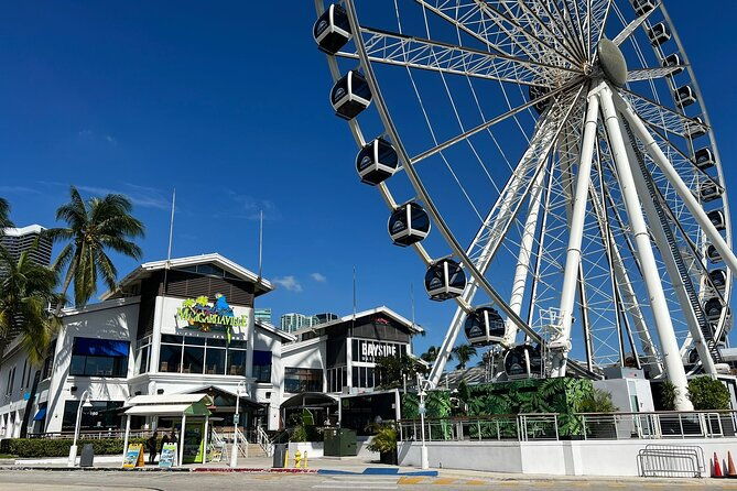 enjoy-the-best-of-miami-in-one-day-tour-2