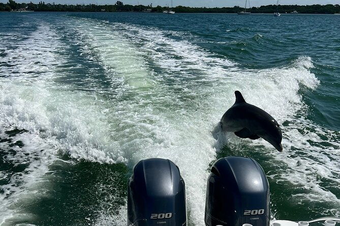 enticement-charters-snorkel-shelling-in-st-petersburg-fl-3-hrs-2