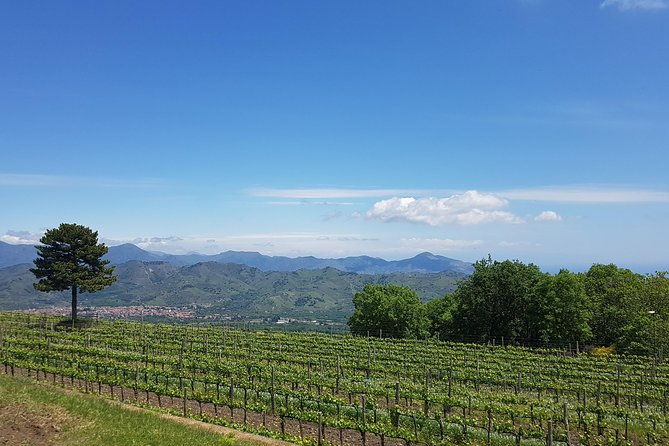 etna-classic-winery-day-trip