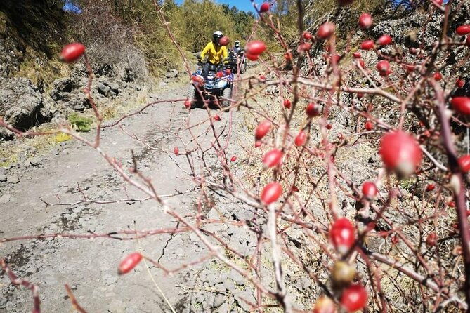 etna-hard-tour