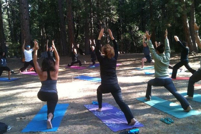 etna-volcanic-yoga-and-meditation-weekend-private-experience