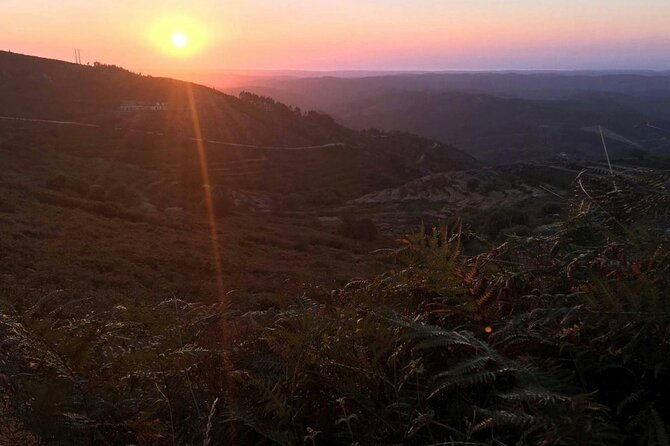 evening-4x4-tour-of-monchique-hills-with-dinner