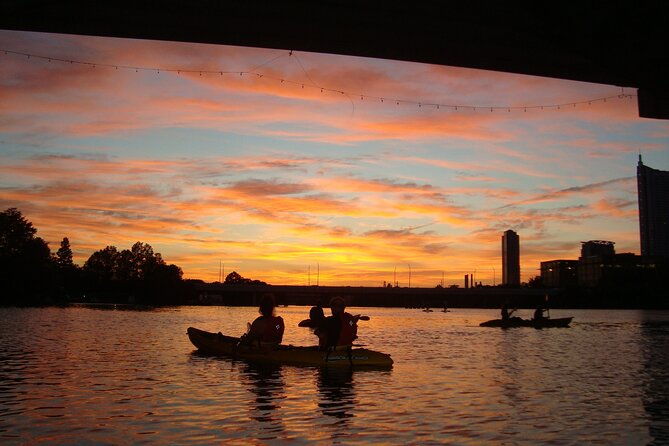evening-bat-watching-kayak-tour