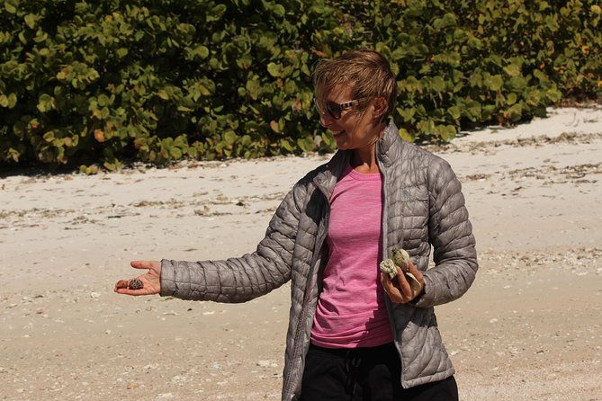 everglades-national-park-small-group-guided-boating-walking-tour-expedition
