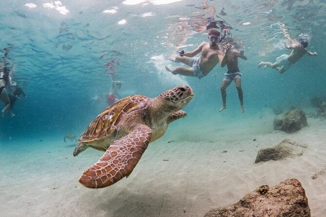 exclusive-4-hour-private-nature-tour-west-curacaos-best