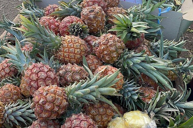 exotic-full-day-kingston-culture-tour-from-ocho-rios