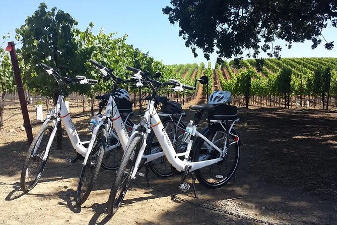 experience-e-bike-with-wine-tasting-activity