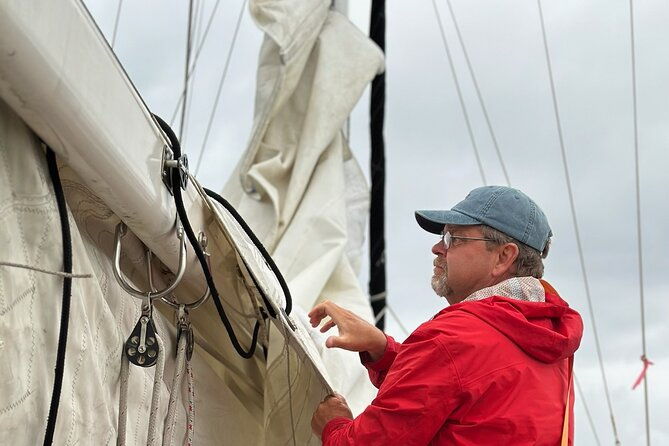 experience-oceanside-sailing-with-whales-and-dolphins