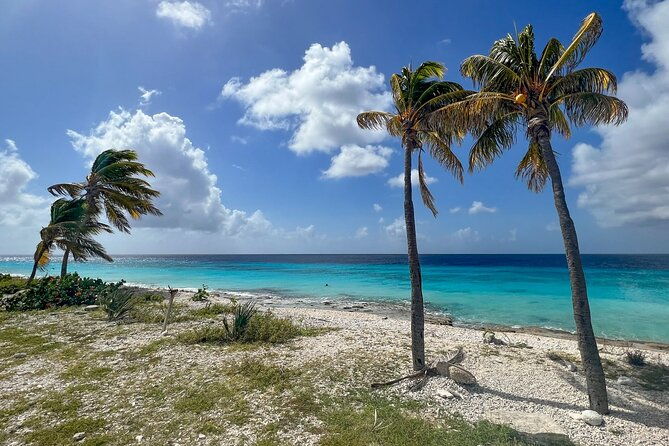 explore-bonaire-north-south-tour