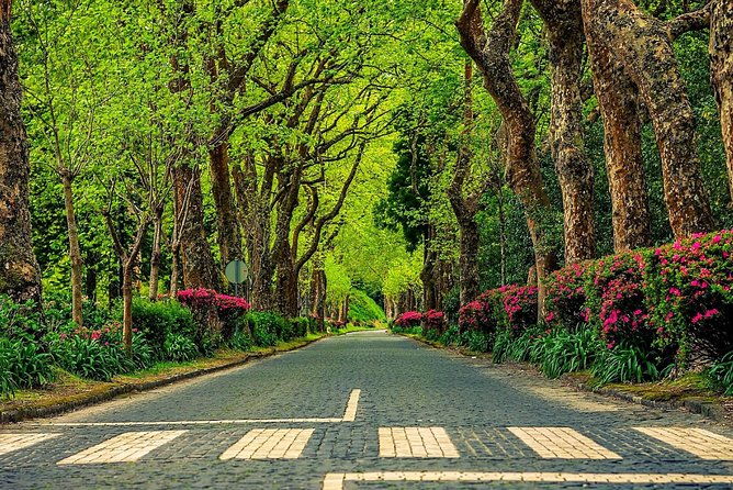 explore-furnas-by-van-full-day-tour-with-lunch-and-thermal-baths