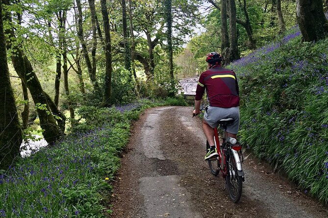 explore-north-cornwall-on-electric-bikes-2