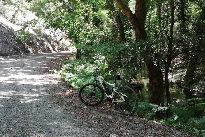 explore-paphos-forest-with-e-mountain-bikes