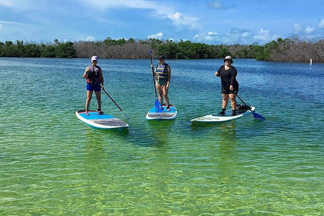 explore-the-mangrove-creeks-with-an-all-day-tandem-kayak-rental