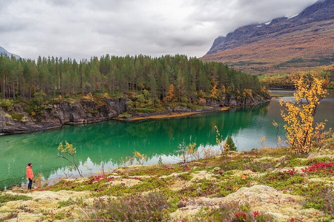 explore-the-norwegian-fjords-and-the-wildlife-from-abisko