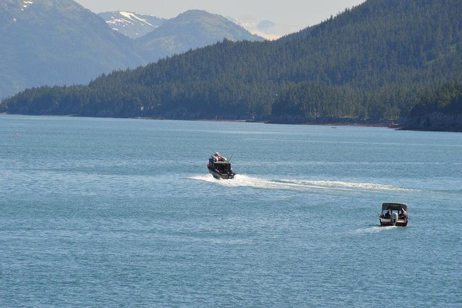 exquisite-wildlife-wilderness-photo-tour-anchorage-whittier