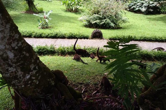 extreme-volcano-lava-trails-hike-in-la-fortuna-onedaycombo