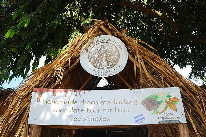 extreme-zipline-city-tour-chocolate-rum-factory-beach-break-transfer