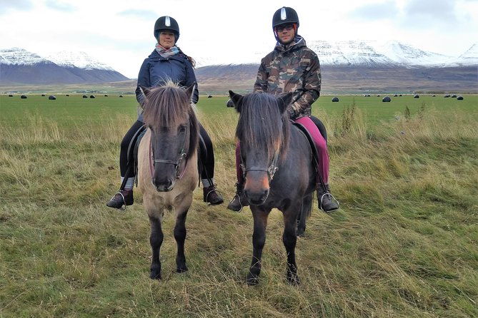 family-friendly-horse-riding-tour-in-skagafjordur