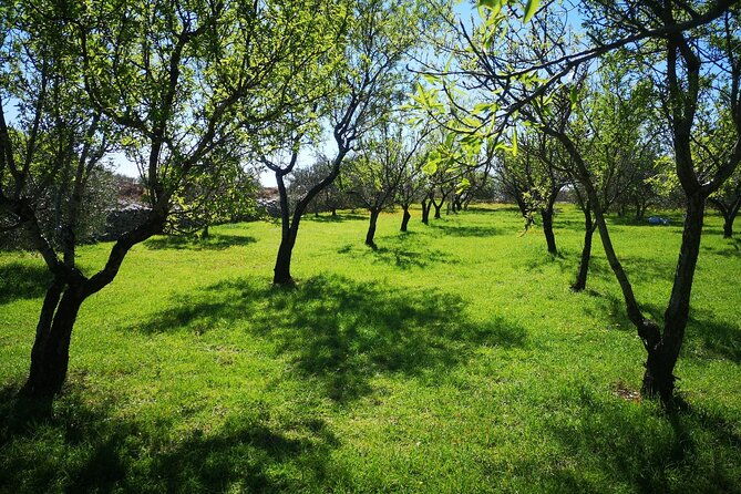 family-run-vineyard-tour-award-winning-wine-tasting-delicacies