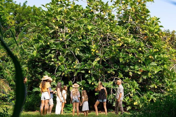 farm-and-food-experience-in-kilauea