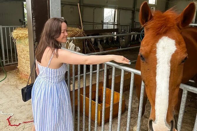farm-stay-experience-and-dozza-private-day-tour-from-bologna