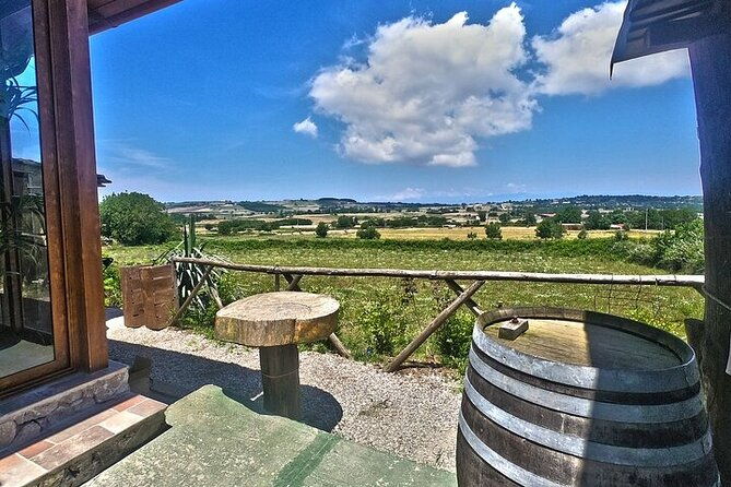 farm-to-table-food-experience
