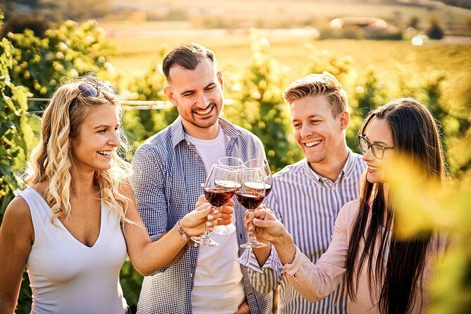 faro-city-portuguese-wine-tasting-and-tapas-guided-tour-2