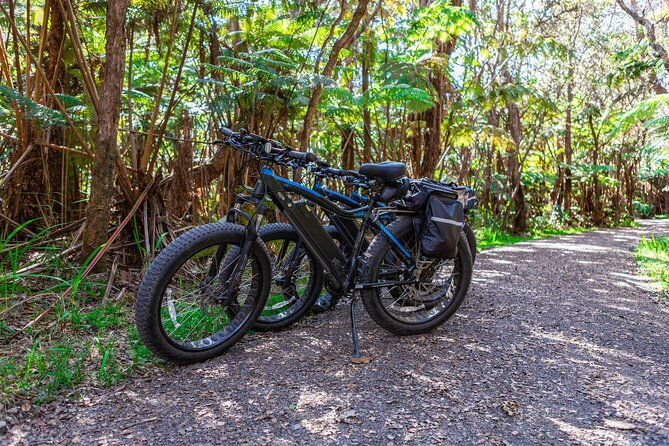 fat-tire-e-bike-rental-volcanoes-national-park