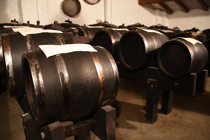 ferrari-parmesan-cheese-balsamic-vinegar-wine-food-private-tour-from-florence