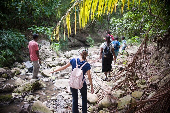 five-hour-day-pass-3-hour-fun-hike-and-challenges-great-experiences-bajan-lunch
