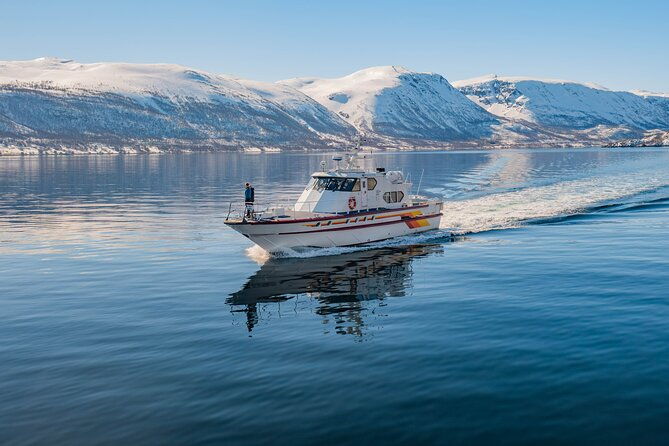 fjord-safari-in-the-altafjord