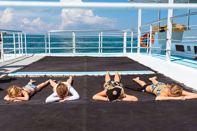flamingo-family-fun-catamaran-snorkelcomfortable-shaded-seating