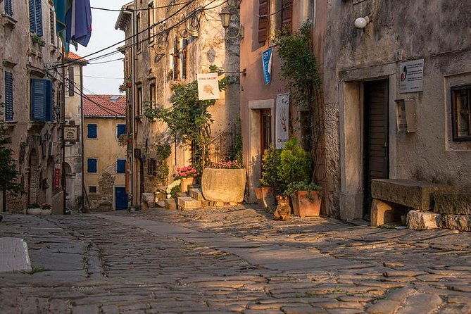 flavours-of-istria-tasting-experience-from-koper
