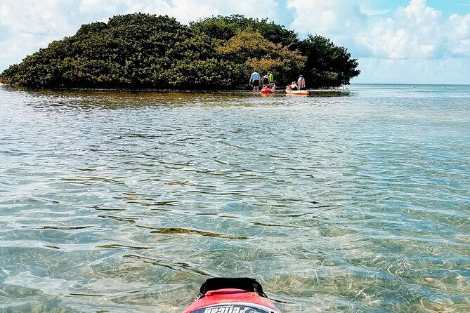 florida-keys-eco-tour-snorkel-kayak-lunch-transportation-2