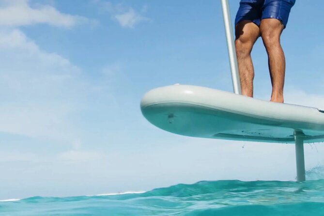 fly-above-ocean-adventure-in-sarasota